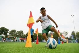 斗地主里配合为什么重要（为何在斗地主中配合至关重要）